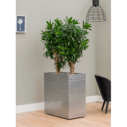 Jardinière design pour intérieur