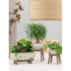 Pots design en fibre de terre