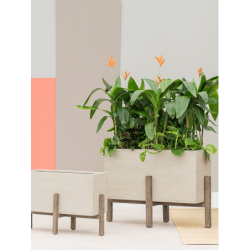 Jardinière design en ciment