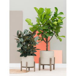 Ensemble de 2 pots de fleur sur pieds