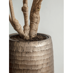 Bac tendance pour intérieur