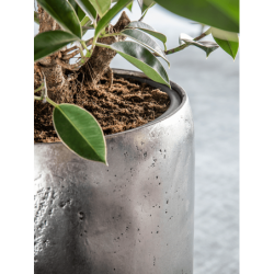 Bac pour vos plantes