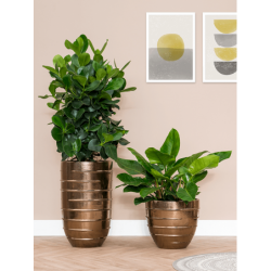 Pots de fleurs en céramique