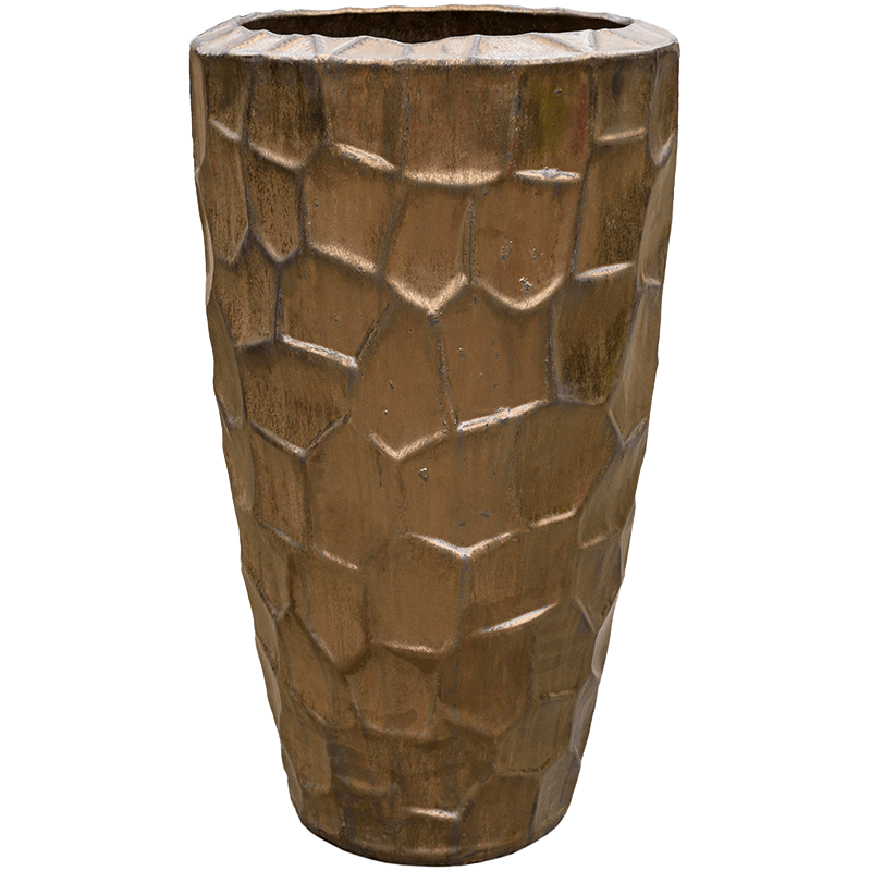 Cascara Partner Relief Sepia