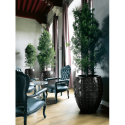 Pot de fleur céramique intérieur