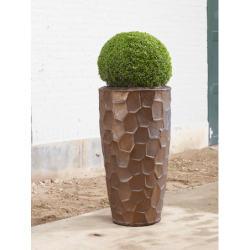 Cascara Partner Relief Sepia