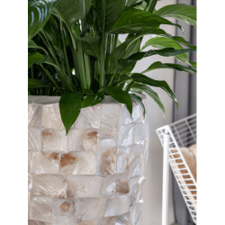 Oceana Pearl Partner Blanc - 35 X 70cm