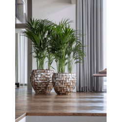 Pot design pour intérieur