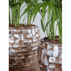 Ensemble de pots pour plantes