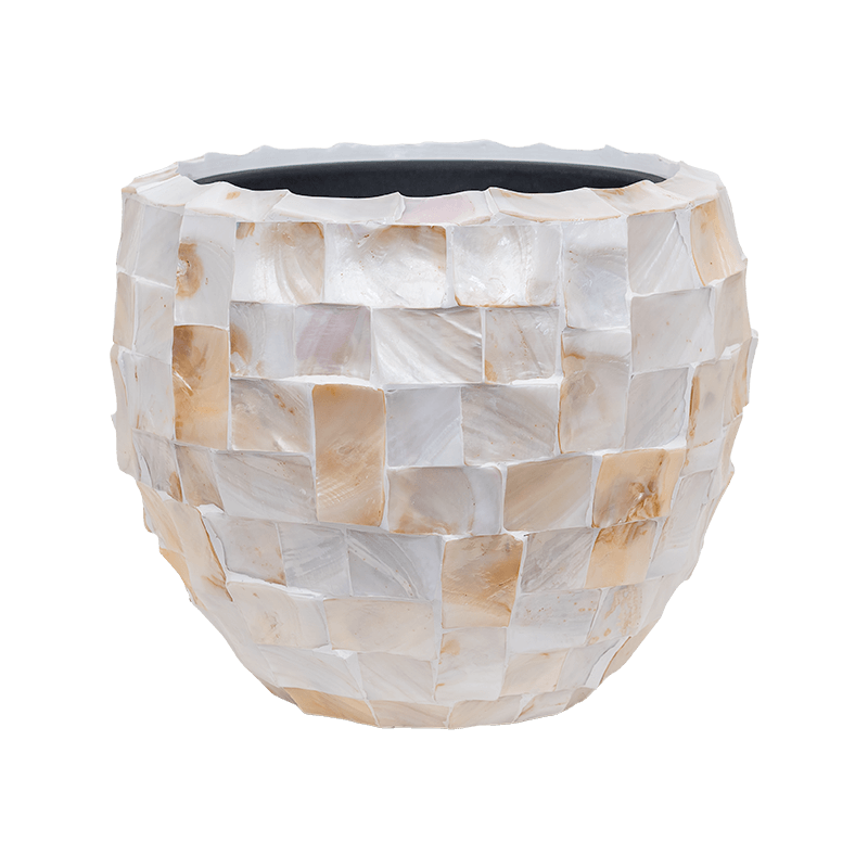 Petite coupe blanche de table