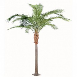 PHOENIX ARTIFICIEL CANARIENSIS - 440(h)