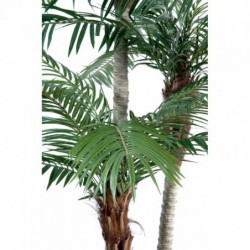 Phoenix Trois Troncs