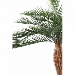 Palmier Phoenix Artificiel Plast - 290(h)