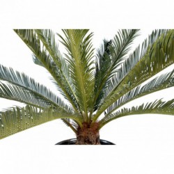 Cycas Artificie