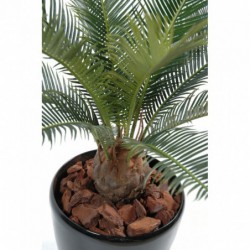 Petit Cycas Artificiel