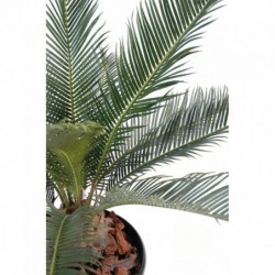 Cycas Artificiel