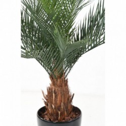 Phoenix Tronc N Plast