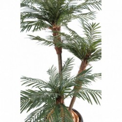 Palmier New Tf - 160(h)