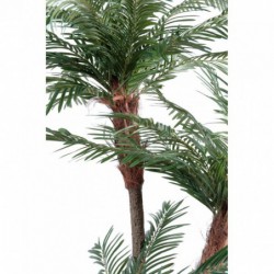 PalmieR 3 Troncs New Tf - 200(h)