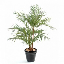 ARECA ARTIFICIEL PALM *3