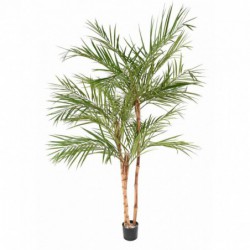 Areca Artificiel - 220cm