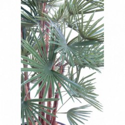 Livistonia Artificiel tergal - 140(h)