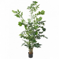 Caryota Artificiel pour la maison