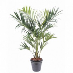 KENTIA ARTIFICIEL ROYAL - 190(h)