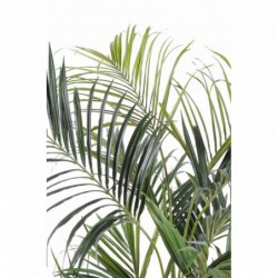 Kentia Artificiel - 220(h)