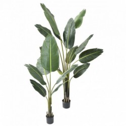TRAVELLERS PALM TREE ARTIFICIEL - 135(h)