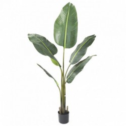 Travellers Palm Artificiel - 135(h)