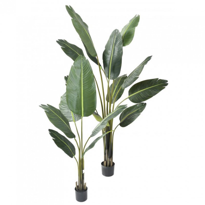 TRAVELLERS PALM TREE ARTIFICIEL - 220(h)