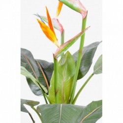 Strelitzia Artificiel