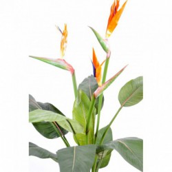 Strelitzia Artificiel 3 fleurs Larges