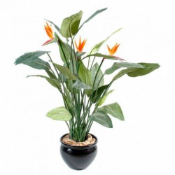 STRELITZIA ARTIFICIEL 3FL