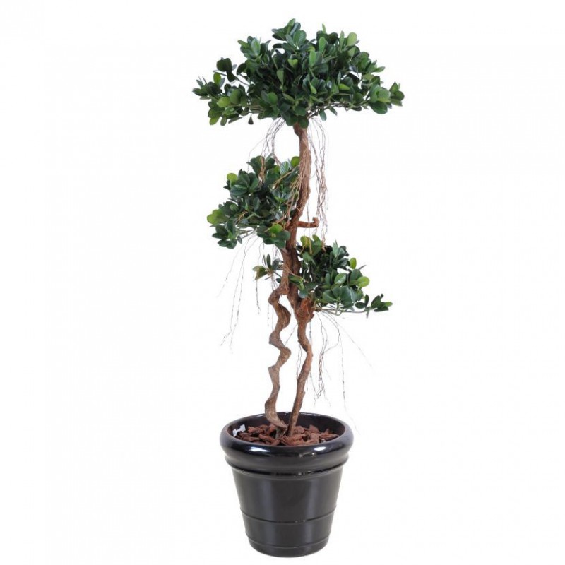 Ficus Artificiel Panda New - 170(h) - Arbre synthétique haut de gamme