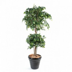 Ficus Artificiel Double Boule - Arbre artificiel de qualité