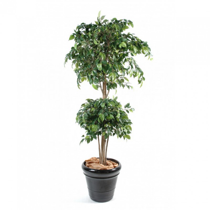 Ficus Artificiel Double Boule - 180(h) - Arbre artificiel de qualité