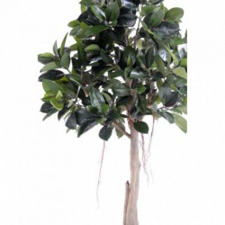 Ficus artificiel de qualité