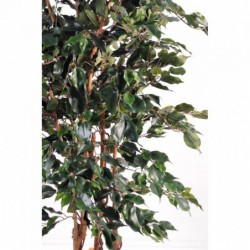 Ficus exotica artificiel