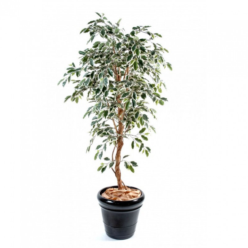 Ficus Artificiel Tronc Simple Panache - 120(h) - Arbre artificiel