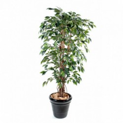 Ficus Artificiel Lianes Gf - Arbre artificiel d'intérieur