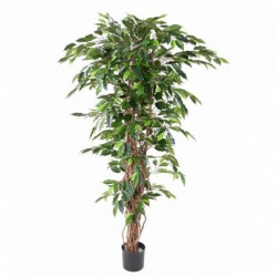Ficus synthétique intérieur