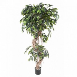 Ficus artificiel haut de gamme torsadé