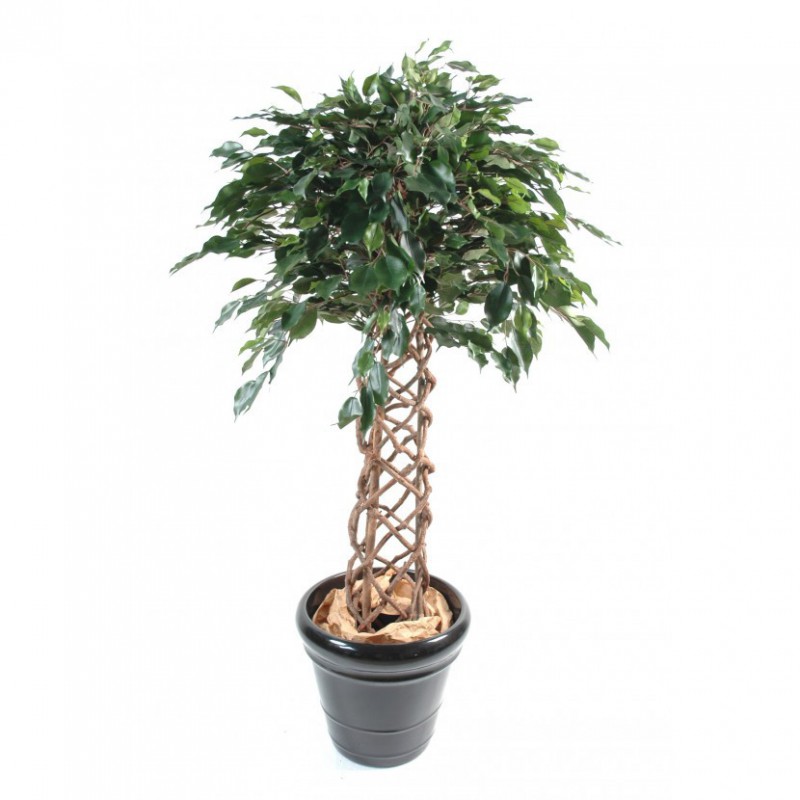 Ficus Artificiel Cage - 140(h) - Arbre artificiel d'intérieur