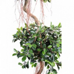 Ficus artificiel 2 boules