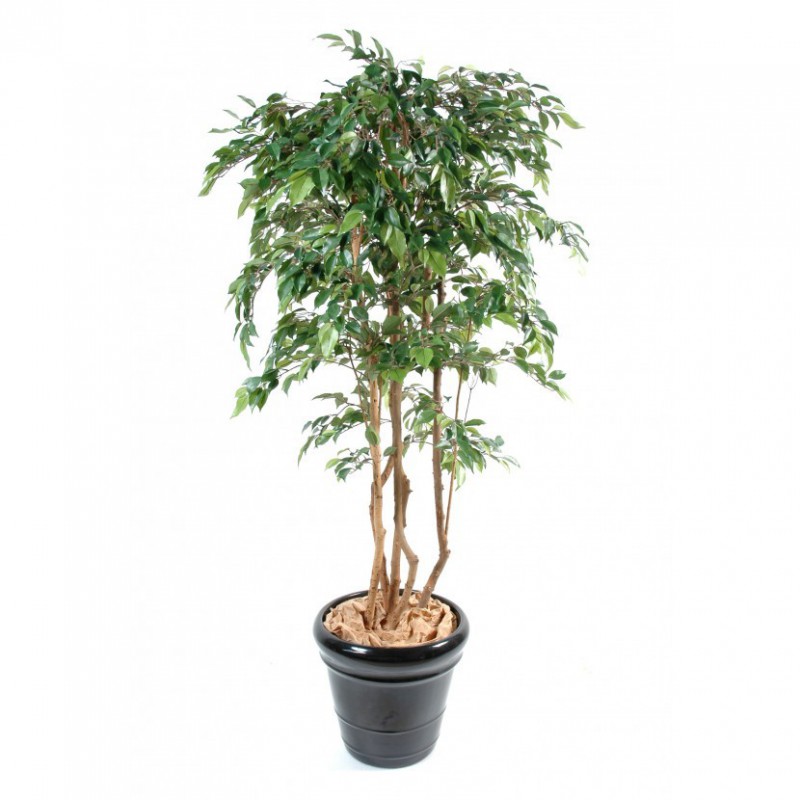 Ficus Artificiel Multitree Natasja - 180(h) - Arbre artificiel intérieur