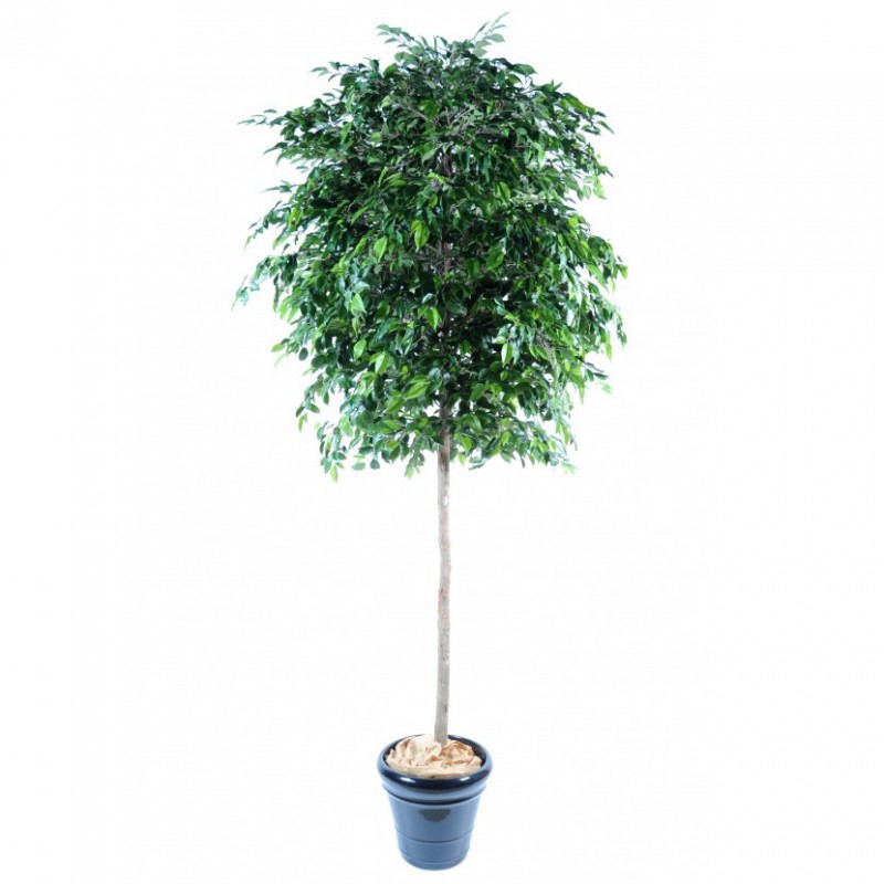 Ficus Artificiel Natasja Tree - Ficus synthétique d'intérieur
