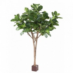Lyrata Artificiel Multi Tree - Ficus artificiel intérieur