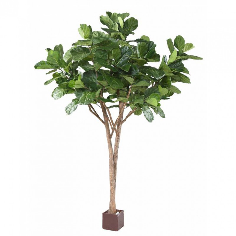 Lyrata Artificiel Multi Tree - Ficus artificiel intérieur